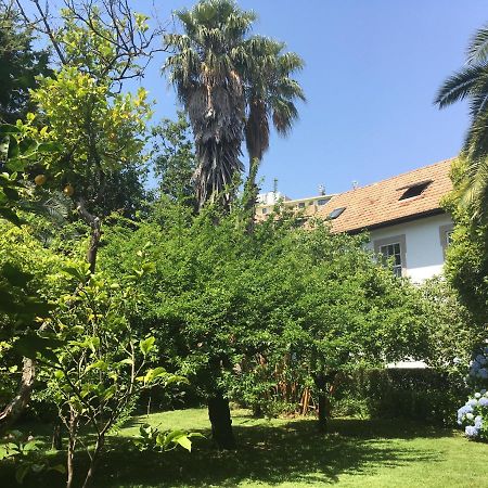 The Oaks House Foz Hotel Porto Ngoại thất bức ảnh